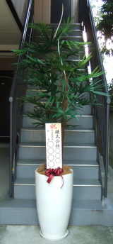 立札を付けた棕櫚竹の画像