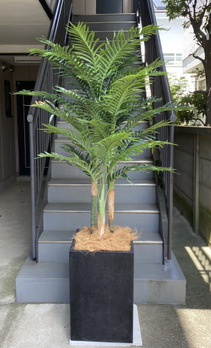 光触媒造花観葉植物・アレカヤシ（コンクリート風大型スクエア鉢・ブラック）の画像
