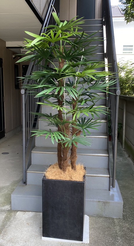 光触媒造花観葉植物・棕櫚竹（コンクリート風大型スクエア鉢・ブラック）の画像