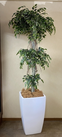 光触媒造花観葉植物 斑入りベンジャミン3段（大型）・ファイバーグラス