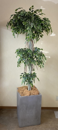 光触媒造花観葉植物 斑入りベンジャミン3段（大型）・コンクリート風大型スクエア鉢（グレイ）の画像