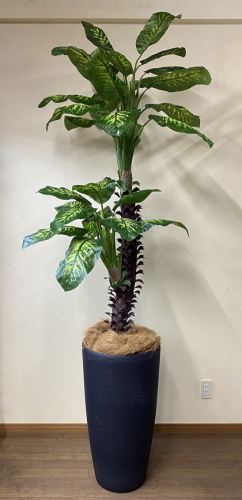 光触媒造花観葉植物・ディフェンバキア・樹脂製特大鉢クリアブラックの画像
