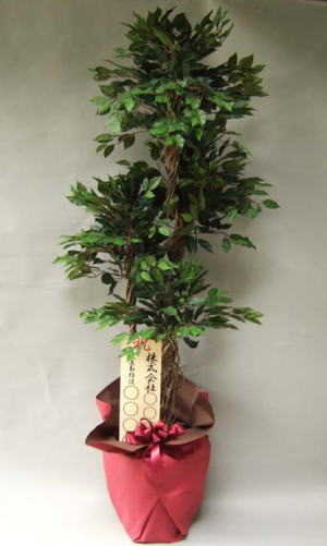 引越し祝いに贈る観葉植物 胡蝶蘭 造花の販売アンジェリック スマートフォン版