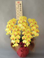 立札付の大型の光触媒造花胡蝶蘭は、開店開業祝いで存在感あります