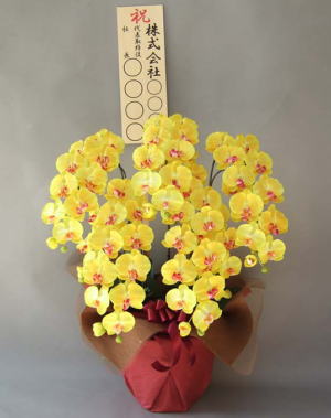 立札付の造花胡蝶蘭の画像