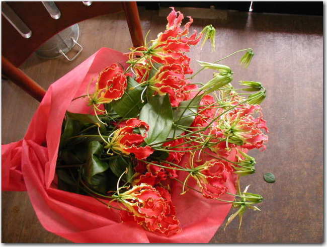 グロリオサの花束 フラワーギフトと観葉植物販売のアンジェリック