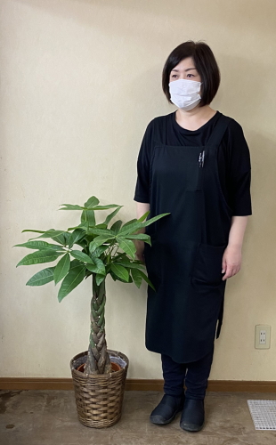 身長158cmの女性と90cmのパキラ