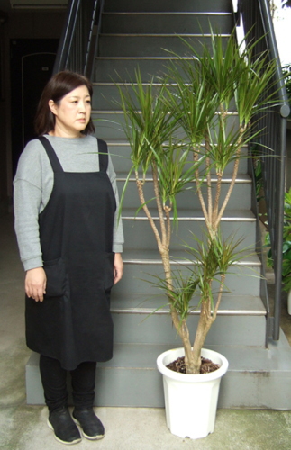 身長158cmの女性と170cmのコンシンネ