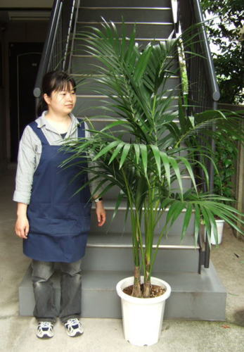 女性と並んだ様子