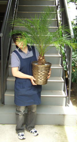 女性が持ち上げた様子