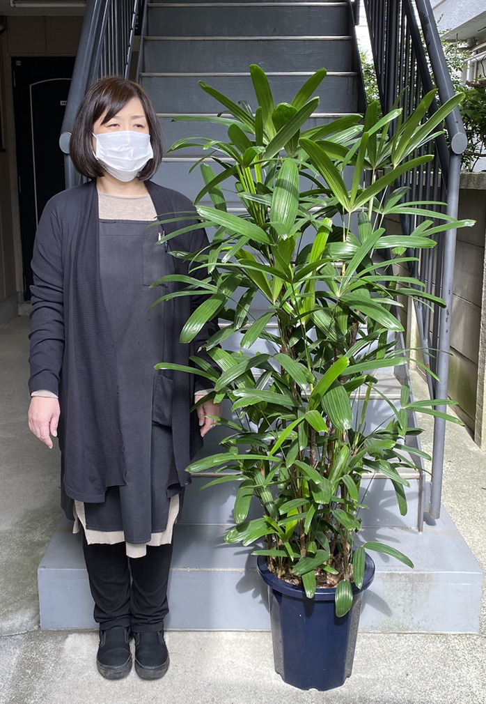 158cmの女性と160cmのカンノンチク