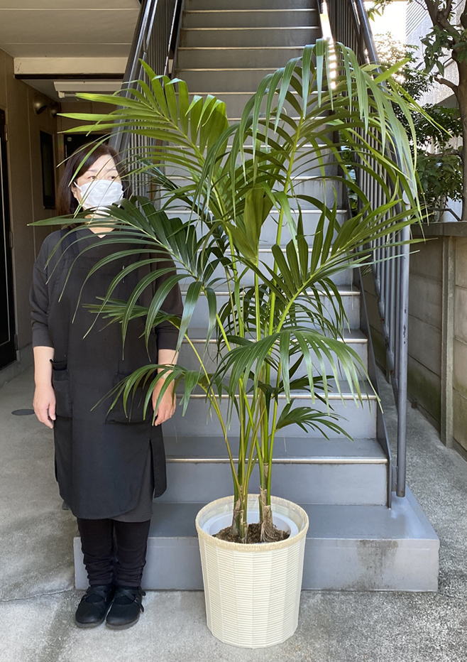 女性と並んだ様子