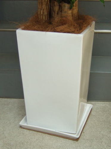 ツヤ有ホワイトの陶製スクエア鉢で、幅32cm×高さ52cm