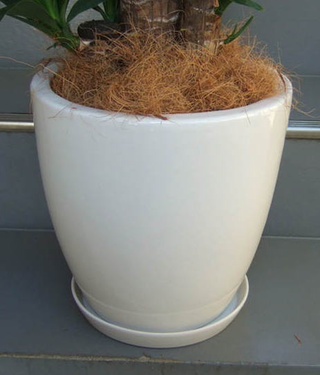 ツヤ有ホワイトのお椀型化粧鉢で、幅31cm×高さ30cm