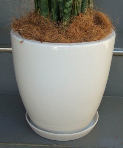 ツヤ有ホワイトのシンプルで上品な化粧鉢で、幅31cm×高さ30cm