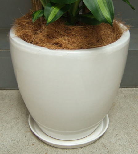 ツヤ有ホワイトのお椀型化粧で、幅38cm×高さ38cm
