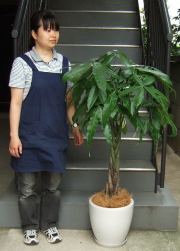 女性と並んだ様子の画像