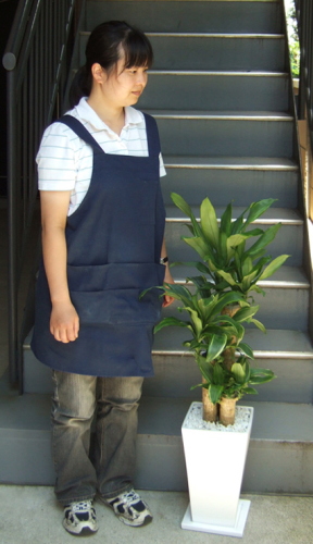 身長155cmの女性と100cmのサンタローサ