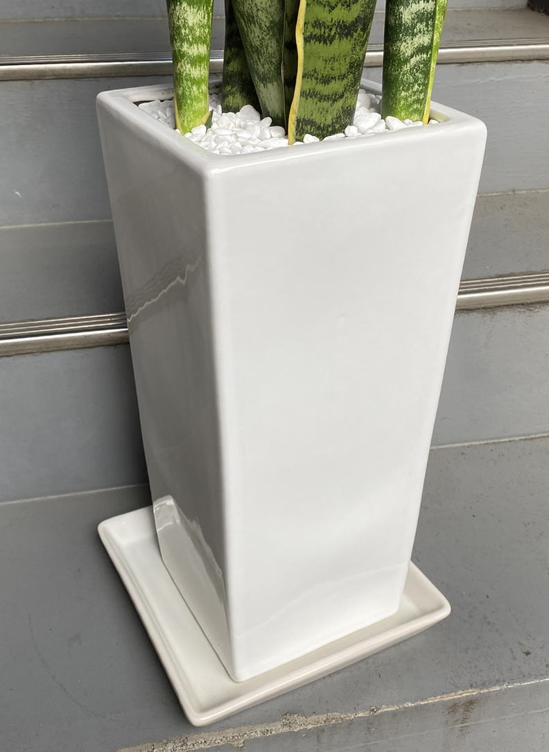 ツヤ有ホワイトの陶製スクエア鉢で、サイズは幅20cm×高さ42cm。専用鉢皿付