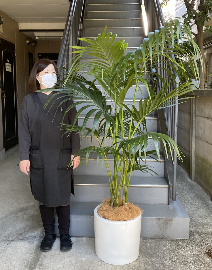 女性と並んだ様子