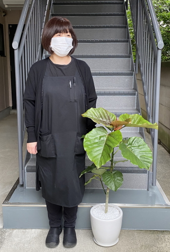 身長158cmの女性と100cmのウンベラータ