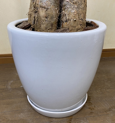 ツヤ有りホワイトで上品なお椀型の陶器鉢。巾30cm×高さ29cm。