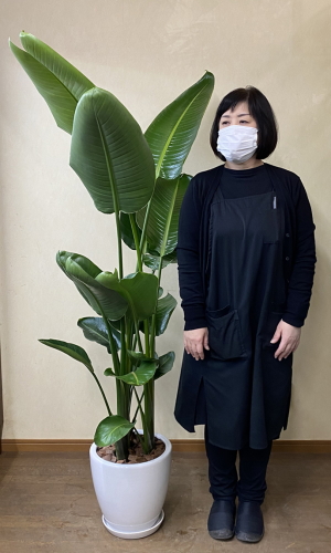 身長158cmの女性と170cmのオーガスタ