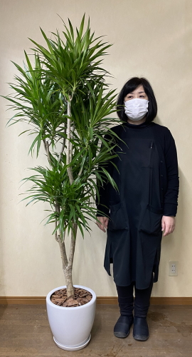 身長158cmの女性と180cmのリフレクサ