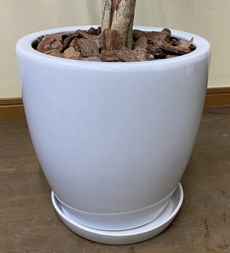 ツヤ有りホワイトでシンプルなお椀型の化粧鉢。巾30cm×高さ29cm