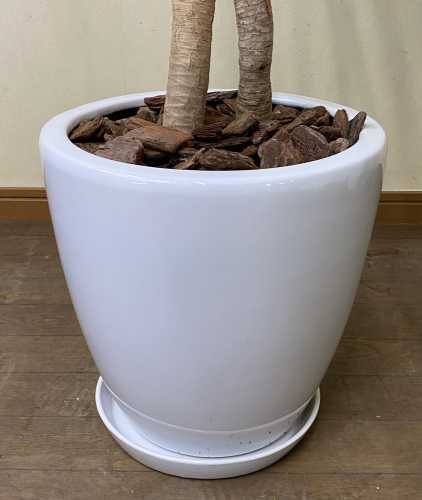 ツヤ有りホワイトでシンプルなお椀型の化粧鉢。巾30cm×高さ29cm