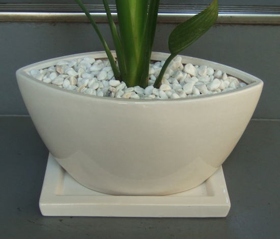 ツヤ有りホワイトで舟形の化粧鉢。巾30cm×奥行き15cm×高さ16cm