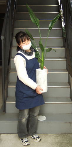 身長155cmの女性と100cmのレギネ