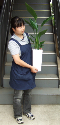 身長155cmの女性が持ったイメージ
