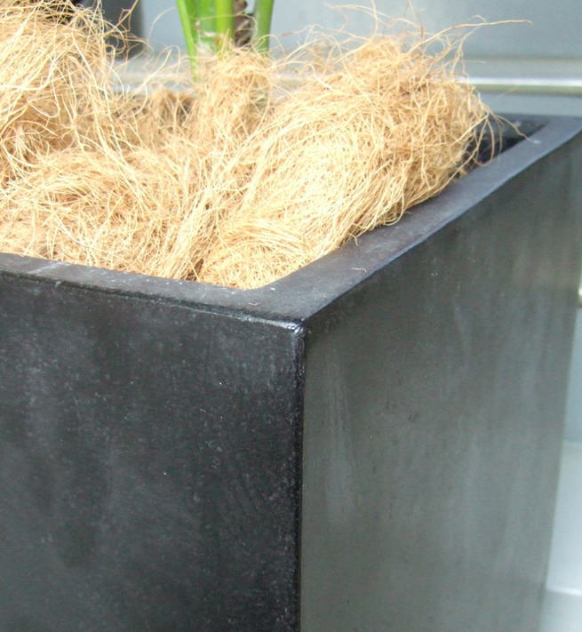 コンクリート風大型スクエア鉢（ブラック）の画像