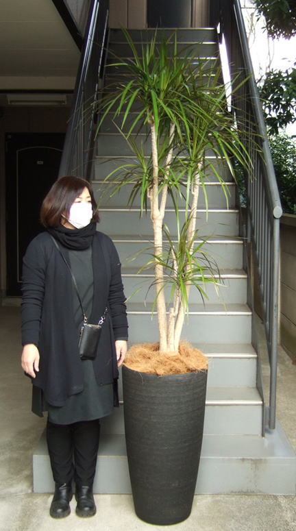 身長158cmの女性と210cmのコンシンネ