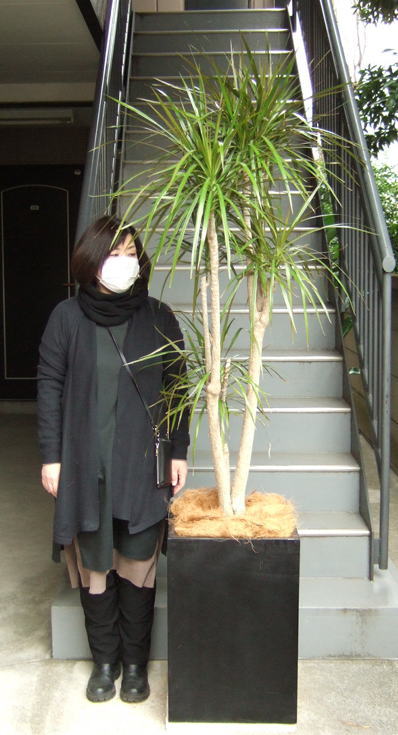 身長158cmの女性と220cmのコンシンネ